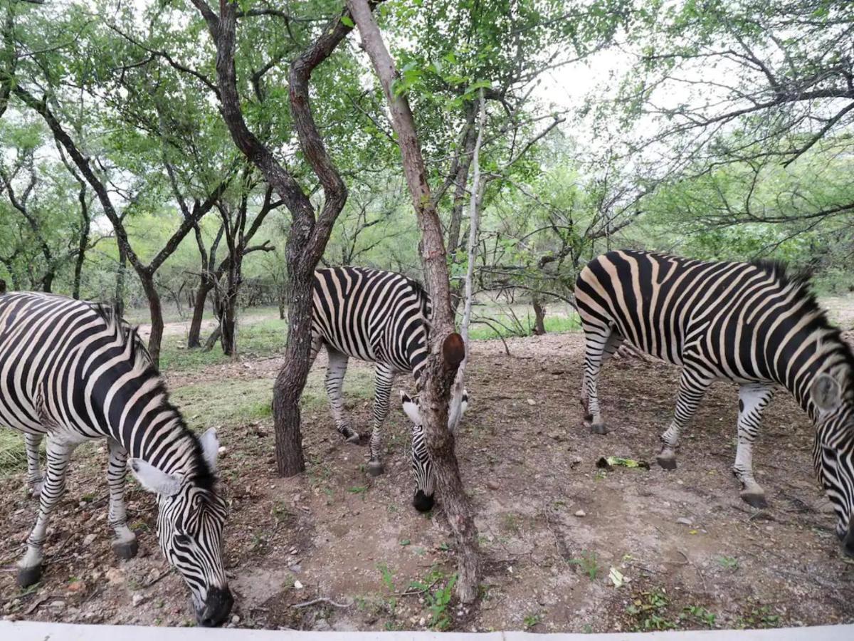Appartamento Chelesa By Kruger Nights Marloth Park Esterno foto